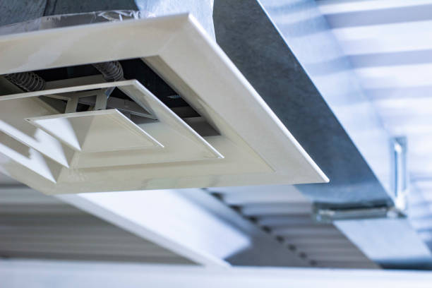 Best Home Air Vent Cleaning  in Alton, TX