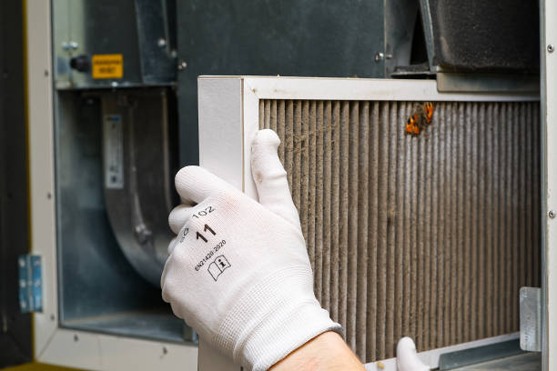 Best General Air Duct Cleaning  in Alton, TX